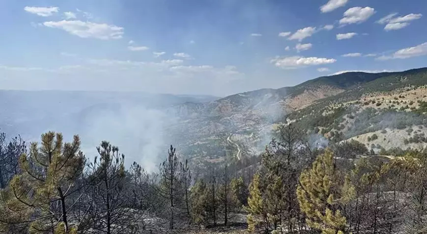 Çorum Çalyayla’da Orman Yangını: Ekipler Müdahalesini Sürdürüyor