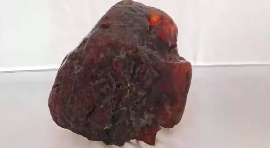 Romanya’da Kapı Desteği Sandığı Taş, Milyonluk Amber Çıktı