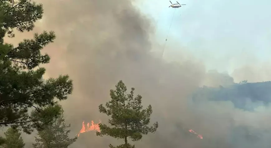 Muğla Seydikemer’de Orman Yangını: Alevler Yerleşim Yerlerine Doğru İlerliyor