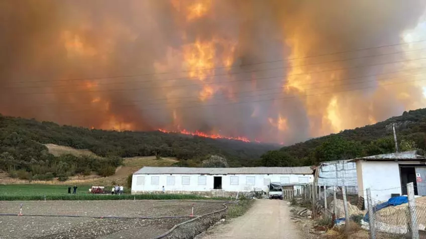 Bursa ve Hatay’da Orman Yangınları: Çiftlikler ve Mahalleler Tehlikede