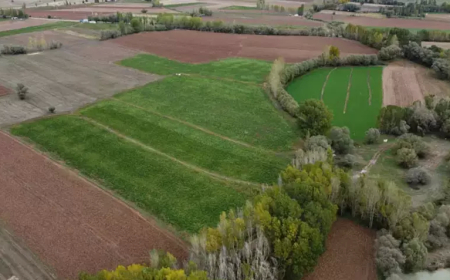 Atıl Tarım Arazileri ‘Kiralık Tarla’ Uygulamasıyla Üretime Kazandırılıyor