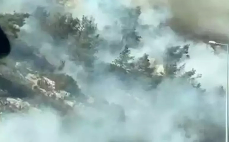 Aydın Söke’de Makilik Alanda Yangın