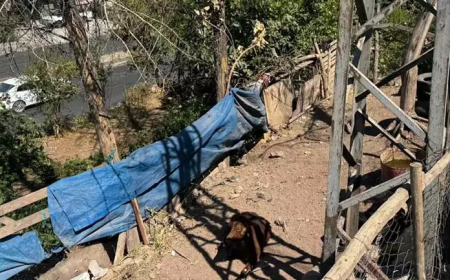 Diyarbakır’da Elektrik Akımına Kapılan Genç Kadın Hayatını Kaybetti