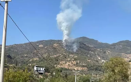 Aydın’da Zeytinlik Alanda Yangın