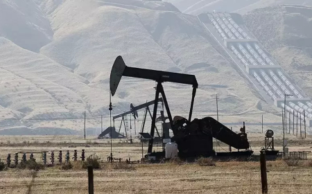 OPEC’in Ham Petrol Üretimi Ağustosta 478 Bin Varil Arttı