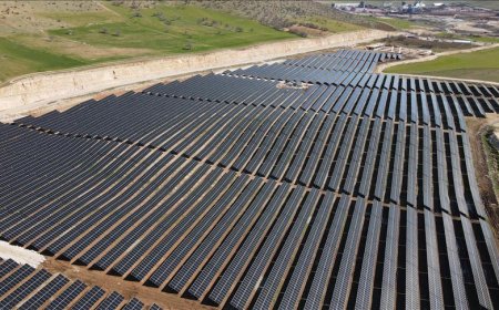 Cengiz Holding, Güneş Enerjisi Projeleri İçin 64,5 Milyon Dolarlık Yeşil Kredi Sağladı