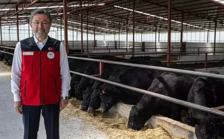 Bakan Yumaklı: Hayvansal Üretimde Planlama Meyvelerini Vermeye Başladı