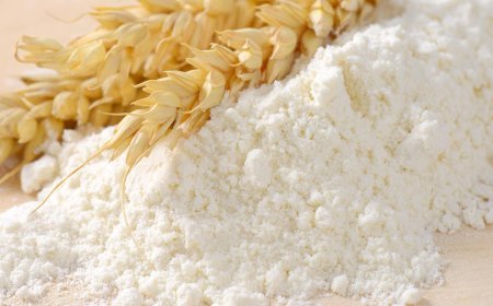 Kadooğlu: Irak’taki kapasite artışı buğday unu ihracatında risk yaratıyor