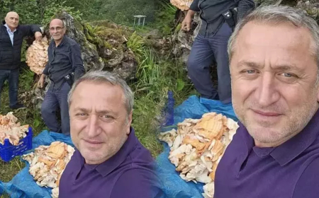 Rize Ormanında Kilolarca Mantar Bulundu