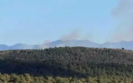 Çanakkale Ezine’de Orman Yangını