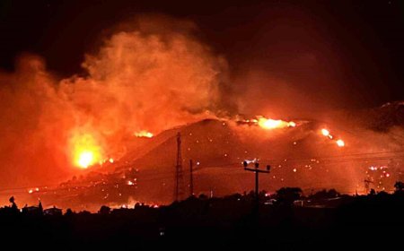 Alanya’da Orman Yangını: Evler Tahliye Edildi, Elektrikler Kesildi