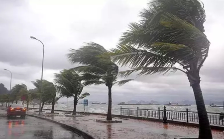 Hong Kong’da Süper Tayfun Ragasa Alarmı: 700’den Fazla Uçuş İptal