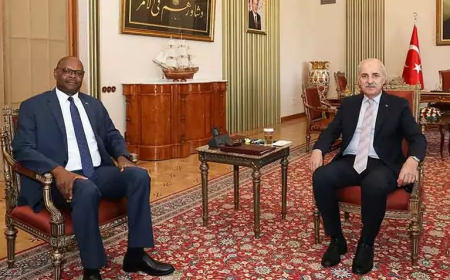 TBMM Başkanı Kurtulmuş, Zimbabve Büyükelçisi’ni kabul etti