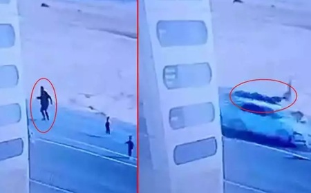 Ağrı’da Yola Fırlayan Çocukları Kurtarmak İsterken Hayatını Kaybetti