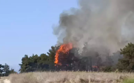 Manavgat’ta Tarım Arazisinde Çıkan Yangın Ormana Sıçradı