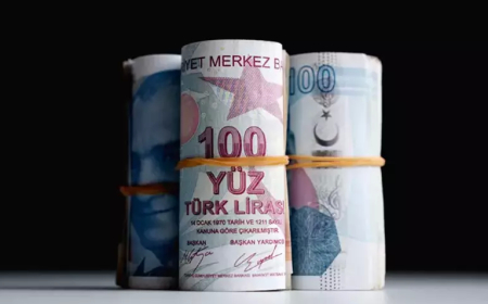 Bankacılık sektörü ağustos sonu itibarıyla 563 milyar lira kâr elde etti