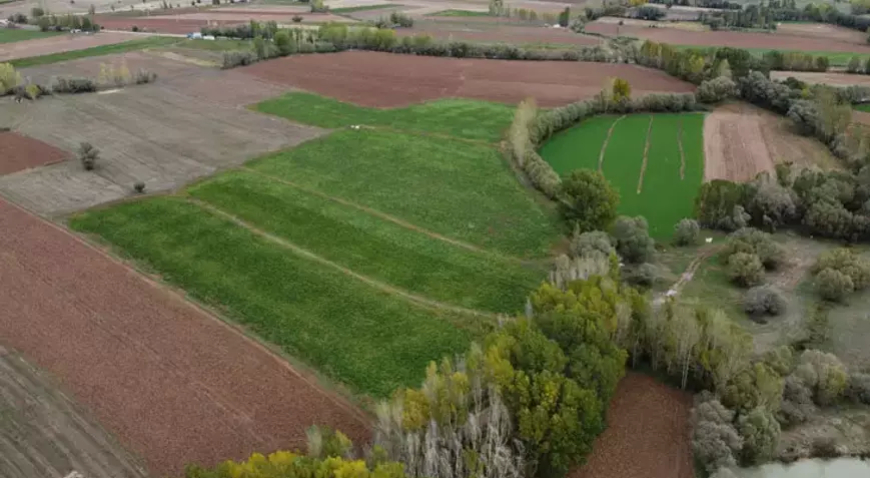 Atıl Tarım Arazileri ‘Kiralık Tarla’ Uygulamasıyla Üretime Kazandırılıyor