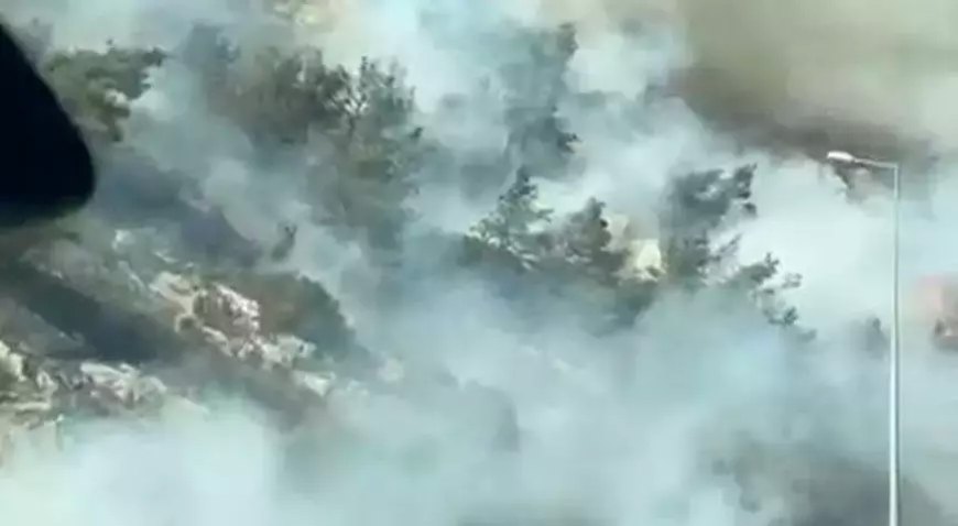 Aydın Söke’de Makilik Alanda Yangın