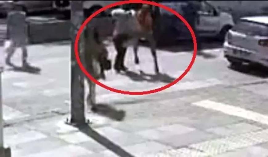 Ankara’da Kadına Tokat: Baba-Oğul Yakalandı