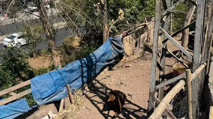 Diyarbakır’da Elektrik Akımına Kapılan Genç Kadın Hayatını Kaybetti