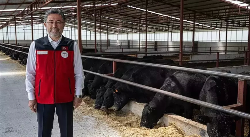 Bakan Yumaklı: Hayvansal Üretimde Planlama Meyvelerini Vermeye Başladı