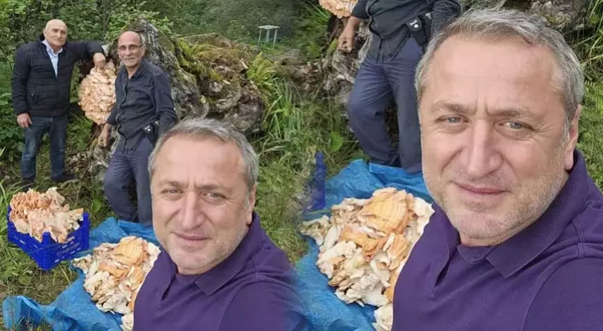 Rize Ormanında Kilolarca Mantar Bulundu