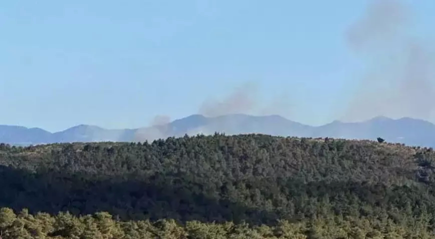 Çanakkale Ezine’de Orman Yangını