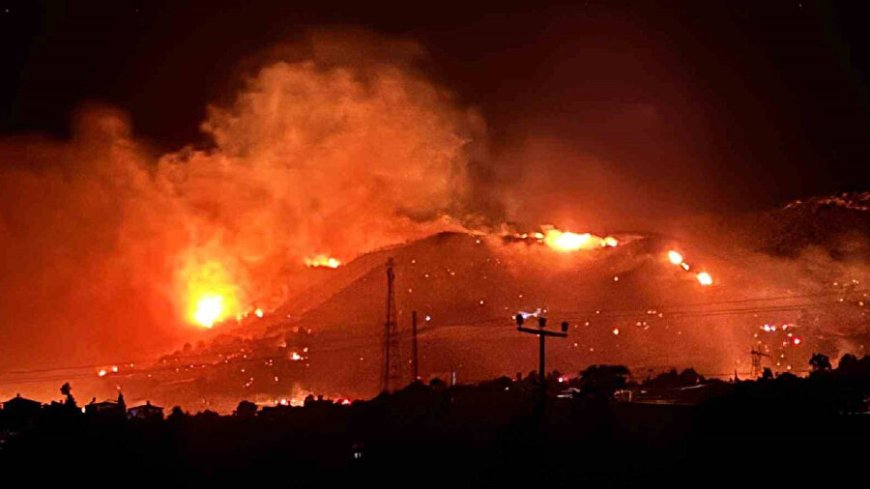 Alanya’da Orman Yangını: Evler Tahliye Edildi, Elektrikler Kesildi