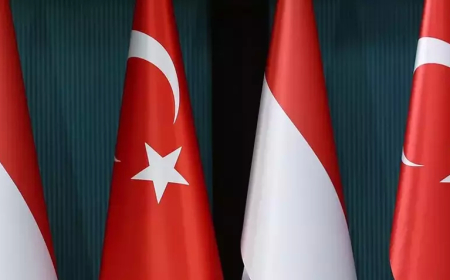 Türkiye-Endonezya ticaretinde rekor artış: Yılın 8 ayında ihracat yüzde 56,5 yükseldi