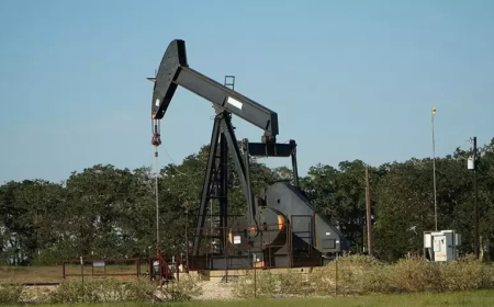 OPEC’in Günlük Petrol Üretimi Eylülde 524 Bin Varil Arttı