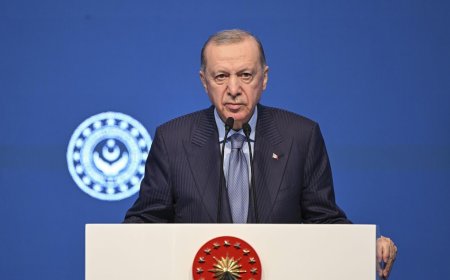 Cumhurbaşkanı Erdoğan Talimat Verdi: Devlet Denetleme Kurulu Sahte e-İmza Olayını İncelemeye Aldı
