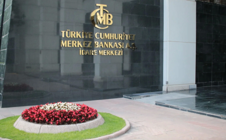 TCMB Rezervleri Rekor Seviyeye Ulaştı