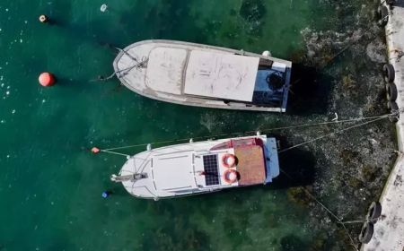 Marmara’daki Balıkçılara Müsilaj Nedeniyle İlave Destek Ödemesi