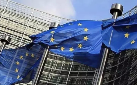 AB’den yeni üyelik formülü: Ukrayna için “veto hakkı olmadan üyelik” seçeneği masada