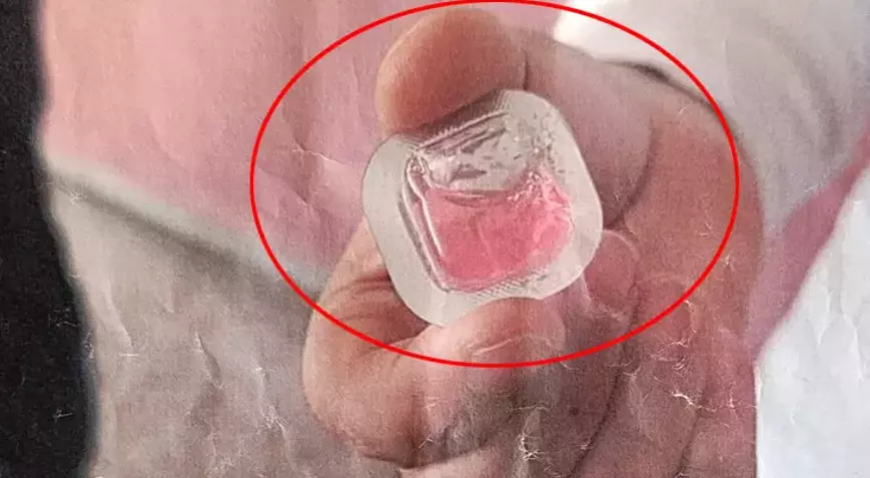 Diyarbakır’da Havadan Kuduz Aşısı Paniği: Aşılar Yerleşim Yerine Düştü