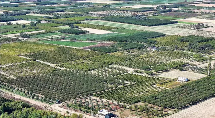 Ege’de Kuraklık Sonrası Yağmur Umut Oldu: “Zeytine İlaç, Toprağa Can Gibi Geldi”