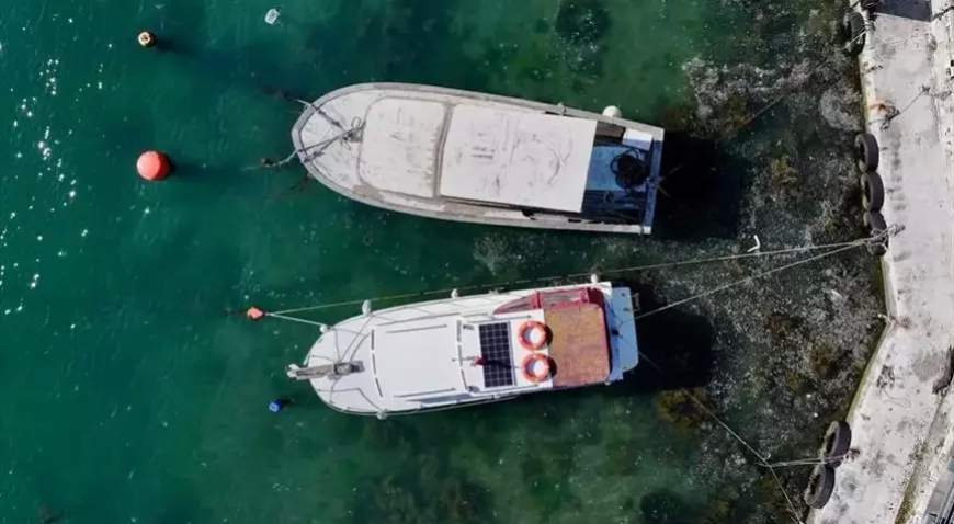 Marmara’daki Balıkçılara Müsilaj Nedeniyle İlave Destek Ödemesi