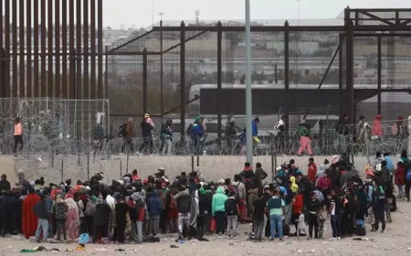 OECD ülkelerine kalıcı göç azaldı, sığınma başvuruları rekor kırdı