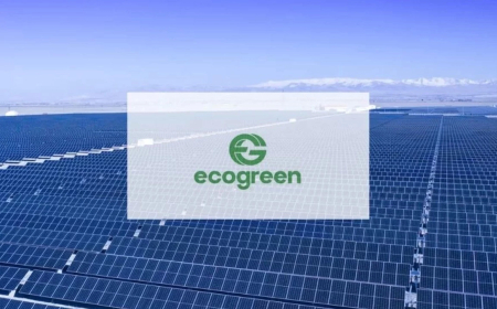 Ecogreen Enerji Holding Halka Arzına 8,94 Kat Talep Geldi