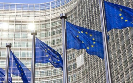 Euro Bölgesi’nde Yatırımcı Güveni Dört Aydır Geriliyor: Kasım’da Beklentilerin Altında Kaldı