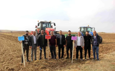 Sivas’ta Yeni Buğday Çeşitleri Toprakla Buluştu