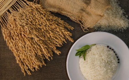 İpsala Pirinci AB Coğrafi İşaret Tescili Aldı: “Marka Değeri Artacak”