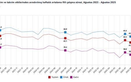 TÜİK Ekim verilerini yayımladı: İşsizlik gerilerken atıl işgücü yükseldi