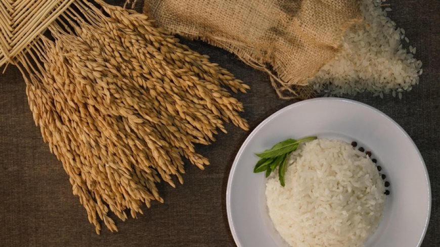 İpsala Pirinci AB Coğrafi İşaret Tescili Aldı: “Marka Değeri Artacak”