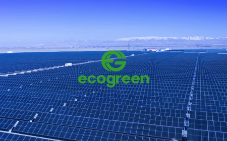 Ecogreen Enerji, bağlı ortaklıklarının kül halinde birleşmesini tamamladı