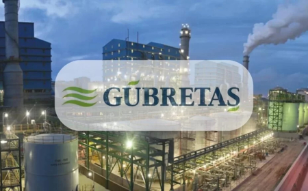 Gübre Fabrikaları, Razi Petrochemical’daki Pay Satış Sürecini Sonlandırdı