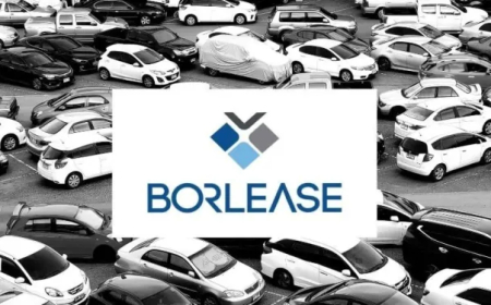 Borlease Otomotiv’e Ana Ortağından 142,9 Milyon TL Nakit Sermaye Avansı