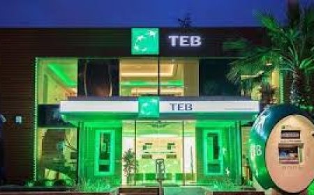 TEB ile EBRD’den Yeşil Dönüşüm İçin 100 Milyon Avroluk Finansman Anlaşması