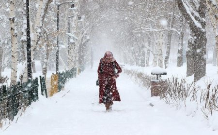 Meteoroloji gün vererek uyardı: İstanbul’a kar geliyor