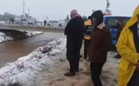 Şanlıurfa’da Feci Kaza: Otomobil Sulama Kanalına Düştü, Baba ve 3 Çocuk Kayıp